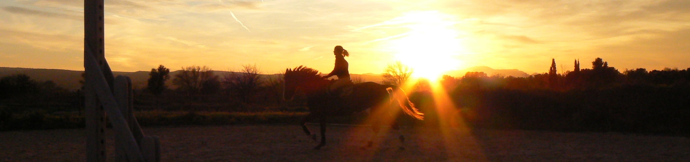 Cheval Coucher de Soleil