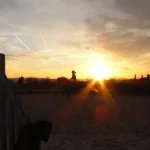 Cavalière au coucher du soleil sur la carrière des écuries
