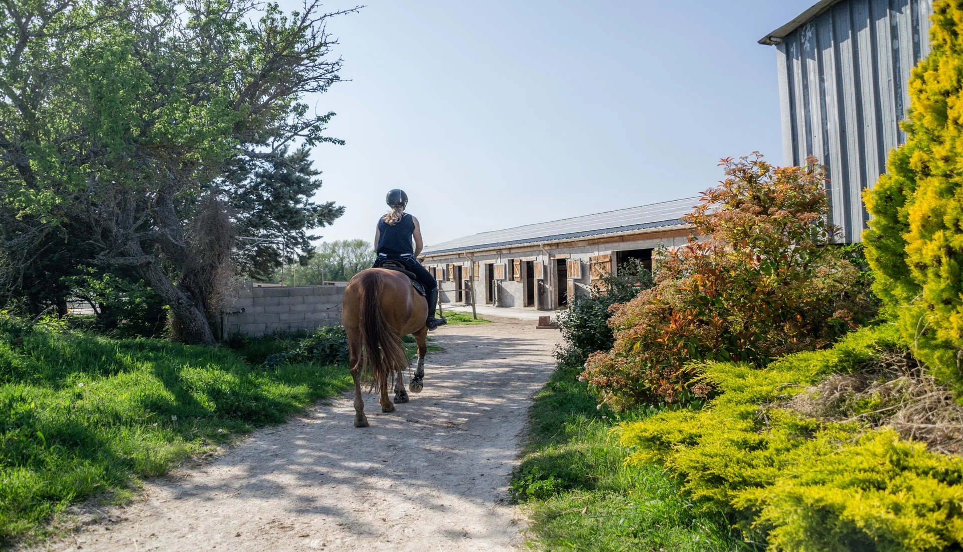 Cavalière à cheval sur le chemin qui mène aux boxes des écuries