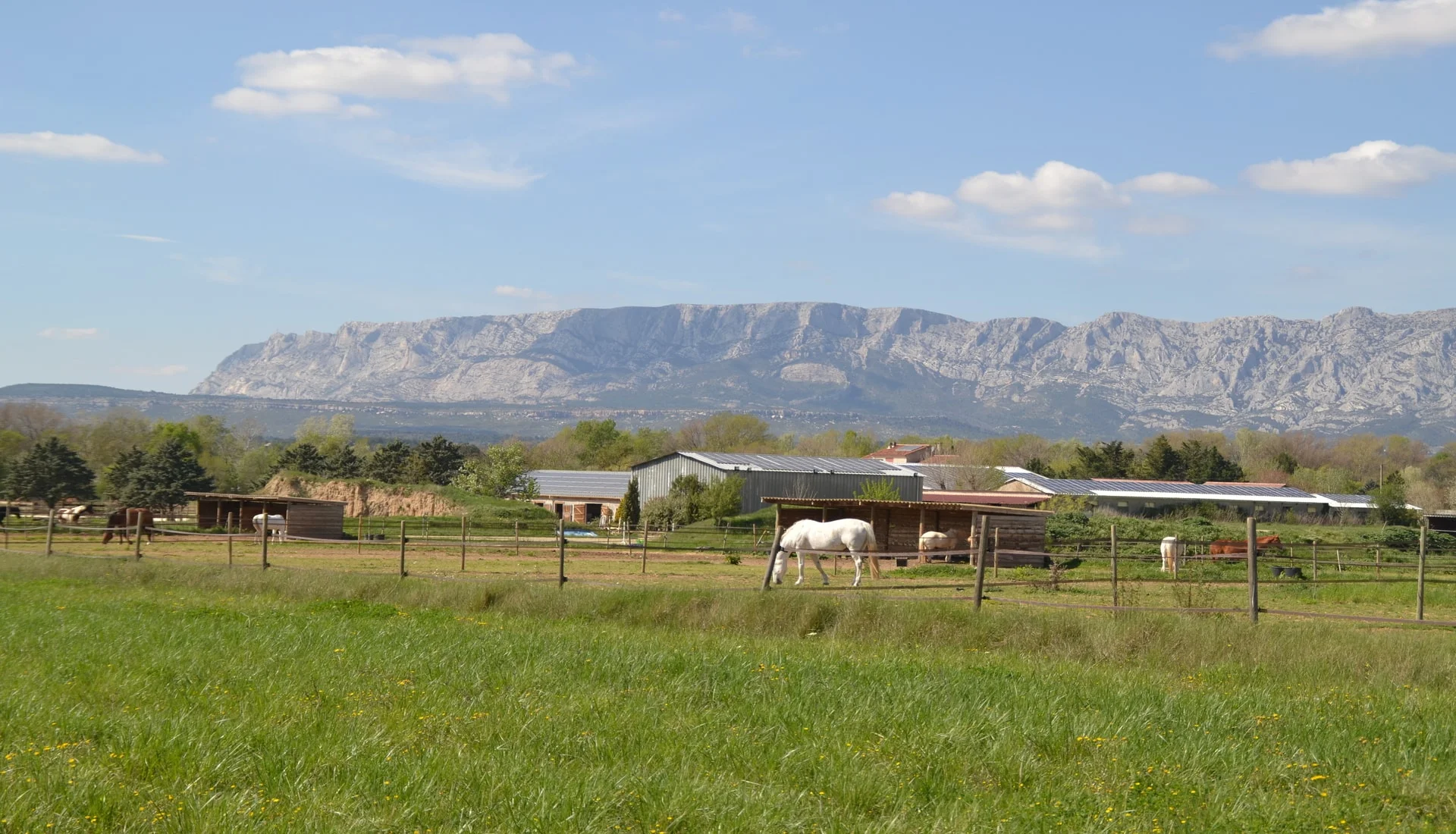 Pâturages et abris des écuries au pied de la Sainte-Victoire
