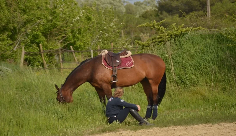 Cheval sellé qui broute, sa cavalière assise à côté de lui dans l'herbe